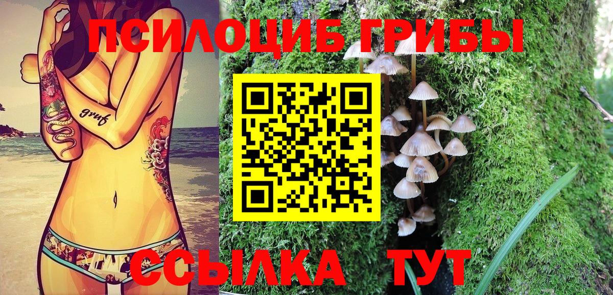 Псилоцибиновые грибы Сибай