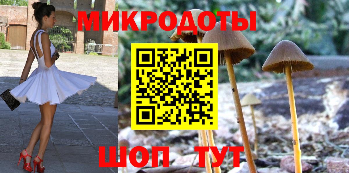 Псилоцибиновые грибы Cubensis Сибай