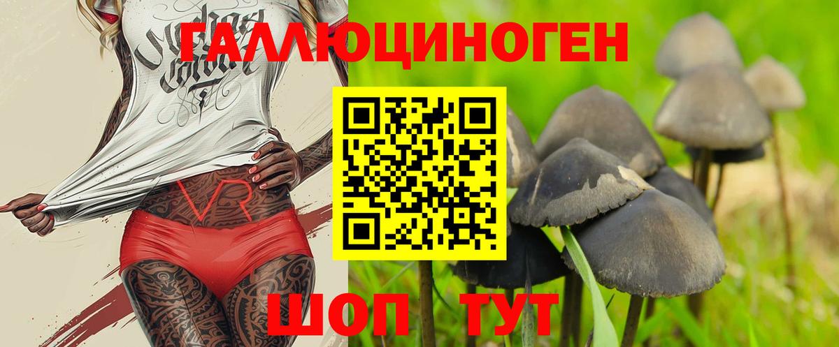 Псилоцибиновые грибы мицелий  Вход с VPN  Псилоцибиновые грибы Cubensis  Сибай 